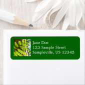 Höhepunkte eines Redwood Tree Botanical (Insitu)