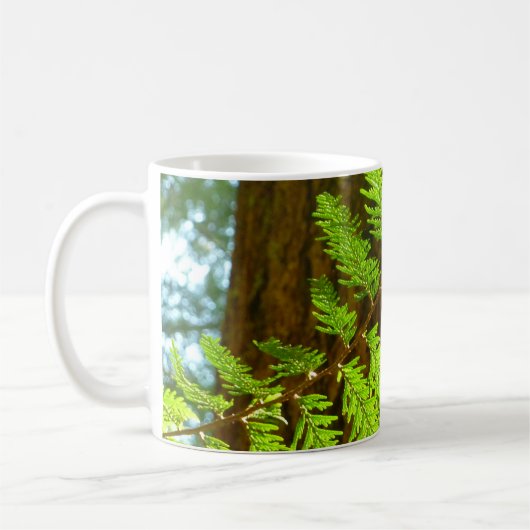 Höhepunkte eines Redwood Tree Botanical Kaffeetasse (Links)