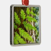 Höhepunkte eines Redwood Tree Botanical Ornament Aus Metall (Rechts)
