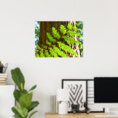 Höhepunkte eines Redwood Tree Botanical Poster (Heimbüro)