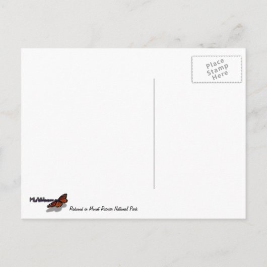 Höhepunkte eines Redwood Tree Botanical Postkarte (Rückseite)