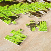 Höhepunkte eines Redwood Tree Botanical Puzzle (Seite)