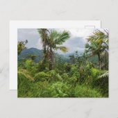 Höhepunkte und Täler der Postkarte el yunque (Vorne/Hinten)