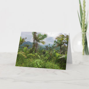 Höhepunkte und Täler des Yunque Karte
