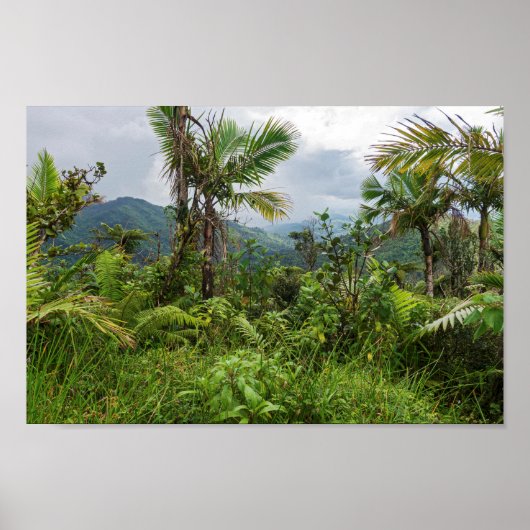 Höhepunkte und Täler des Yunque Poster (Vorne)