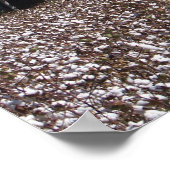 Hoher Baumwolle Poster (Ecke)