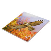 "Hoher Flyer" dekorative Tile Fliese (Seite)