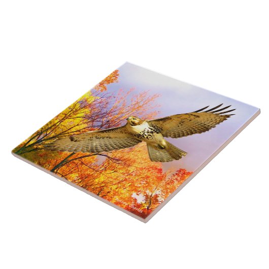 "Hoher Flyer" dekorative Tile Fliese (Seite)