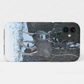 Hoher Gesteldollar Case-Mate iPhone Hülle (Rückseite (Horizontal))