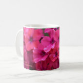 Hoher korallenroter Phlox Kaffeetasse (Vorderseite Links)