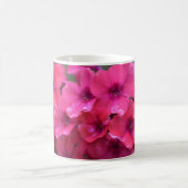 Hoher korallenroter Phlox Kaffeetasse (Mittel)