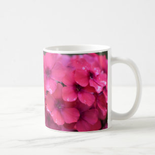 Hoher korallenroter Phlox Kaffeetasse