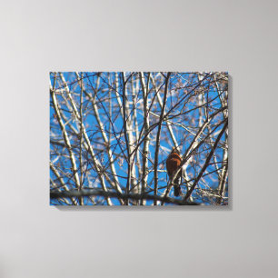 höher leinwanddruck