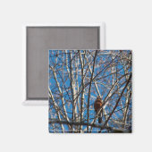 höher magnet (Vorderseite/Rückseite)