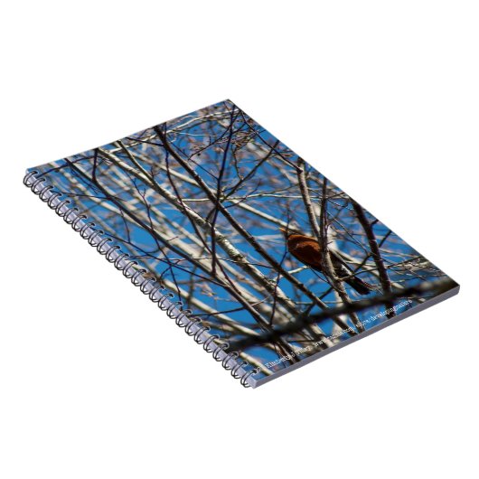 höher notizblock (Rechte Seite)