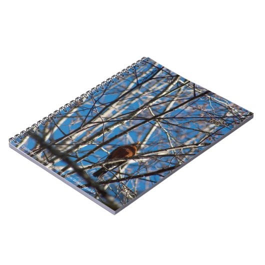 höher notizblock (Linke Seite)