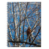 höher notizblock (Vorderseite)