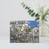 Hoher Park Postkarte (Stehend Vorderseite)