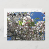 Hoher Park Postkarte (Vorne/Hinten)