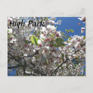 Hoher Park Postkarte