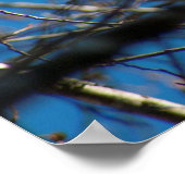 höher poster (Ecke)