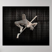 Hoher Sprung; Cool Poster (Vorne)