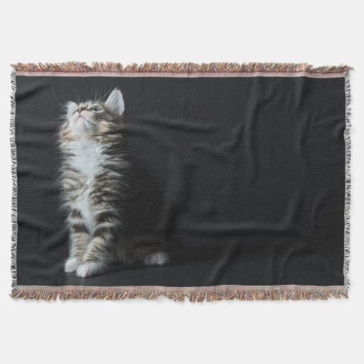 Hoher Tabby Decke (Vorderseite)