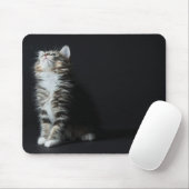 Hoher Tabby Mousepad (Mit Mouse)
