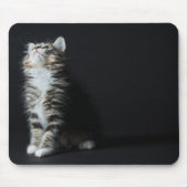 Hoher Tabby Mousepad (Vorne)