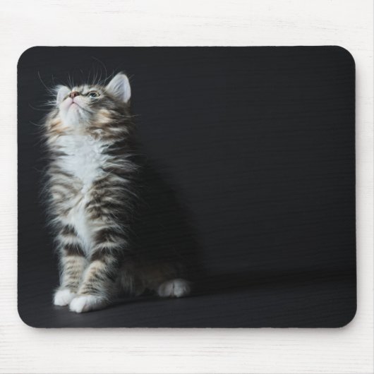 Hoher Tabby Mousepad (Vorne)