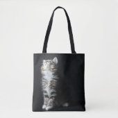 Hoher Tabby Tasche (Vorderseite)