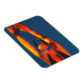 Hoher Taucher 2011 Magnet (Rechte Seite)