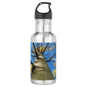 Hoher Zitterpappel-Baum Edelstahlflasche