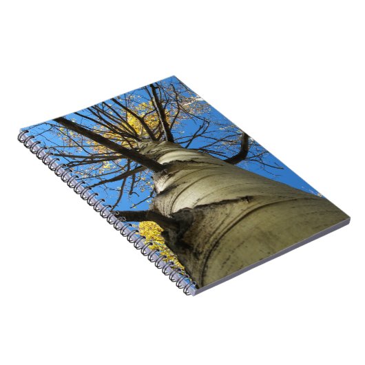 Hoher Zitterpappel-Baum Notizblock (Rechte Seite)