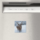 Höhere Kuh im Schneemagnet Magnet (In Situ (Geschirrspüler))
