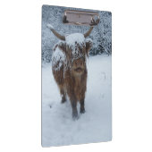 Höhere Kuh in der Schneekappe Klemmbrett (Rechts)