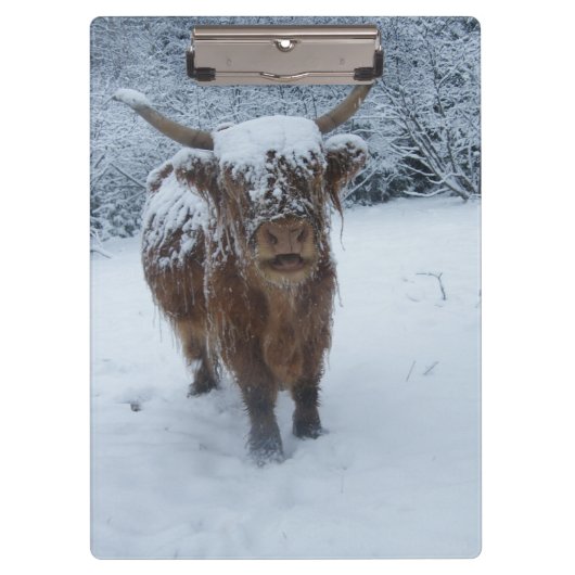 Höhere Kuh in der Schneekappe Klemmbrett (Vorderseite)