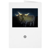 Höhere Kühe mit glatter Geburtstagskarte (Hinten)