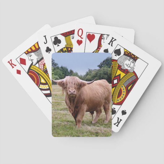 Höhere Kuhspielkarten Spielkarten (Rückseite)