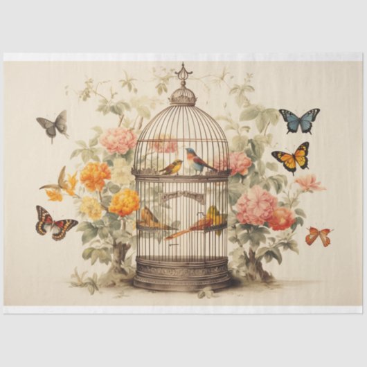 Höhere Schönheiten: Entfärbung des Vogelkäfigs Seidenpapier (Vorderseite)