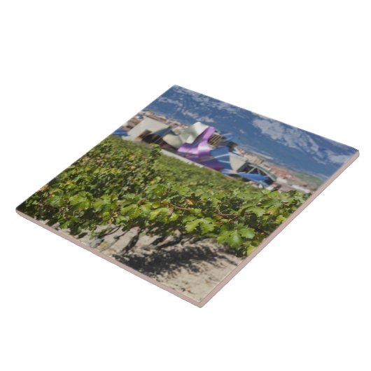 Höhere Stadtsicht und Hotel Marques de Riscal Fliese (Seite)