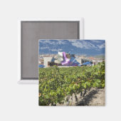Höhere Stadtsicht und Hotel Marques de Riscal Magnet (Vorderseite/Rückseite)