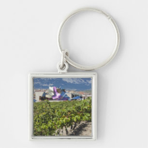 Höhere Stadtsicht und Hotel Marques de Riscal Schlüsselanhänger