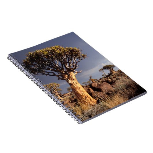 Hohlbaume (Aloe Dichotoma) Notizblock (Rechte Seite)