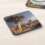 Hohlbaume (Aloe Dichotoma) Untersetzer (Linke Seite)