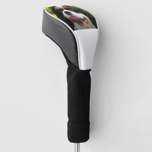 Höhle Golf Headcover (angewinkelt)