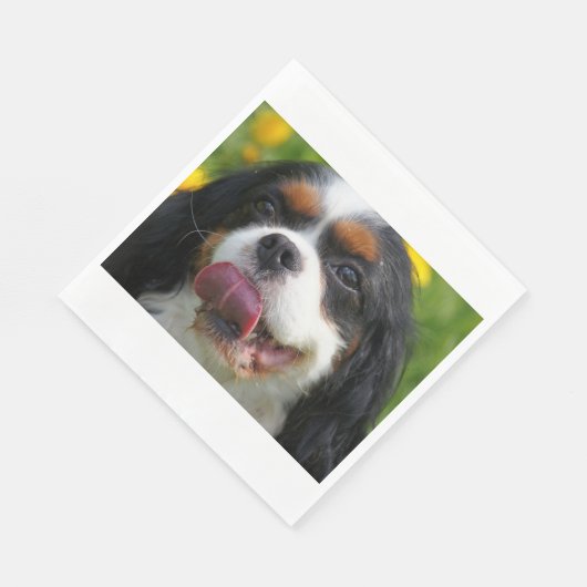 Höhle Serviette (Ecke)