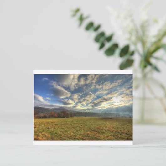 Höhlen Cove Morning Sun Rays Postkarte (Stehend Vorderseite)