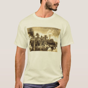 Höhlen-Gärten, Nizza Frankreich 1910 Vintag T-Shirt