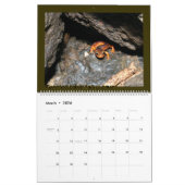 Höhlen-Kalender Kalender (Mär 2026)